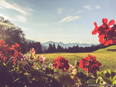 Der Rahmhof Bild 11